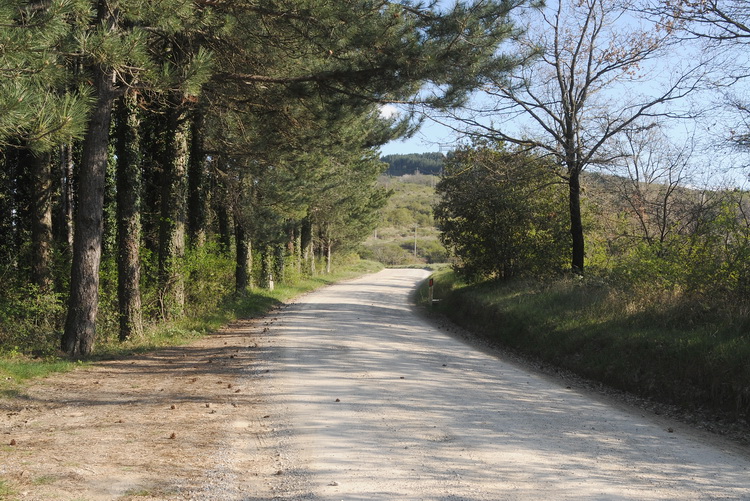 Incontro toscano